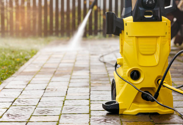 Best Animal Enclosure Cleaning  in Marion, AL